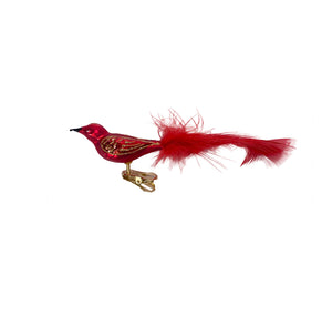 Glasvogel rot - Golden Merlot